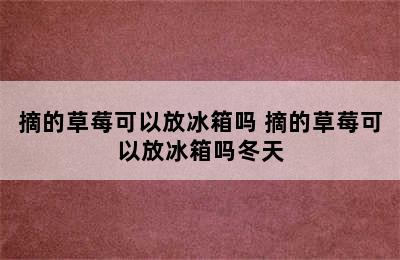 摘的草莓可以放冰箱吗 摘的草莓可以放冰箱吗冬天